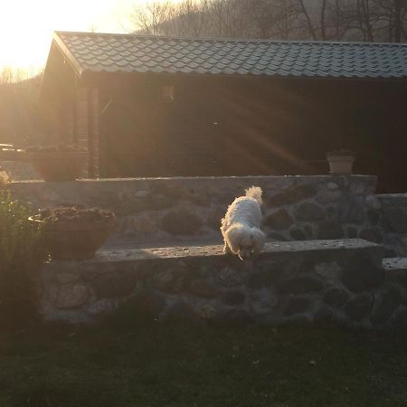 Cottage Ravna Rijeka Bijelo Polje Kültér fotó