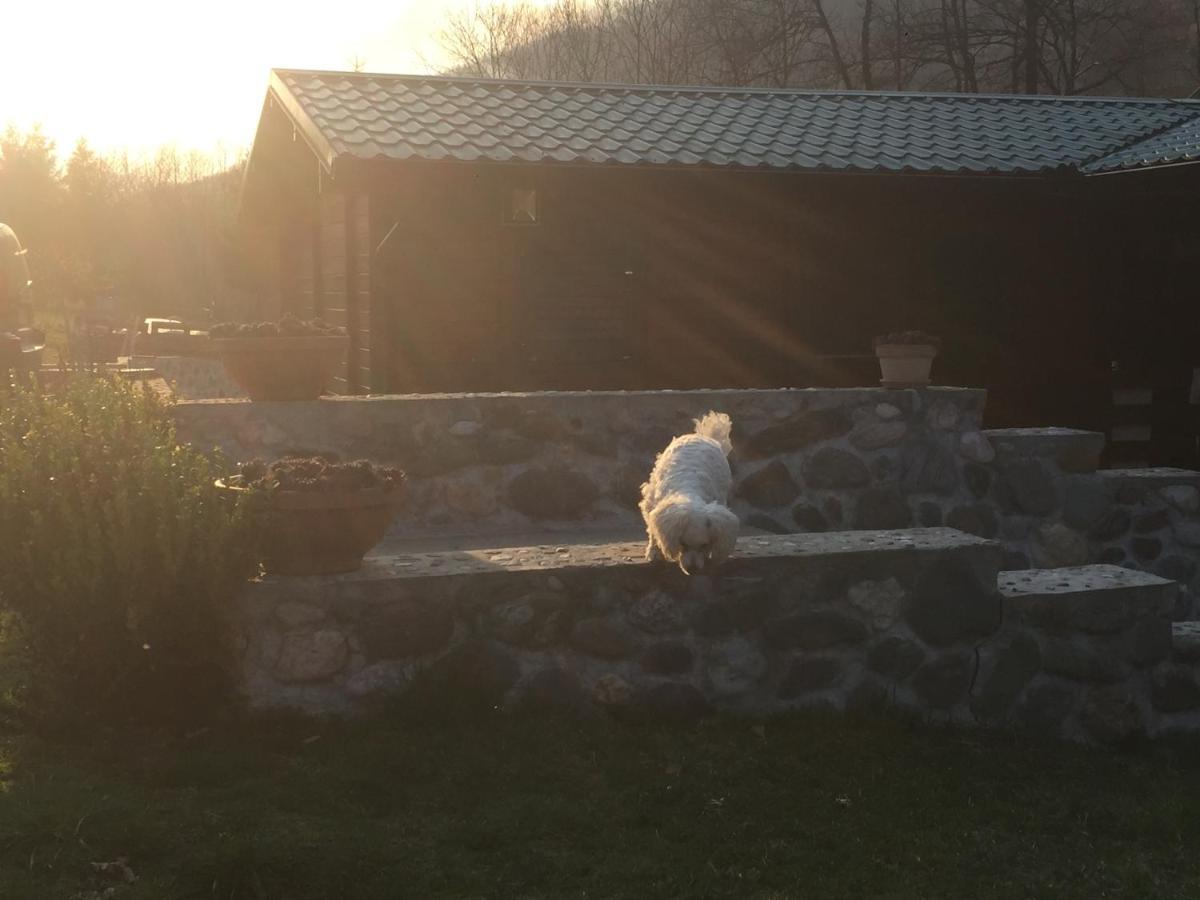 Cottage Ravna Rijeka Bijelo Polje Kültér fotó